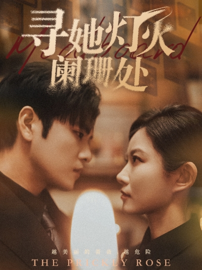 寻她灯火阑珊处封面图