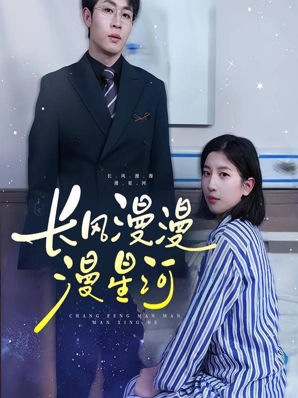 长风漫漫漫星河封面图
