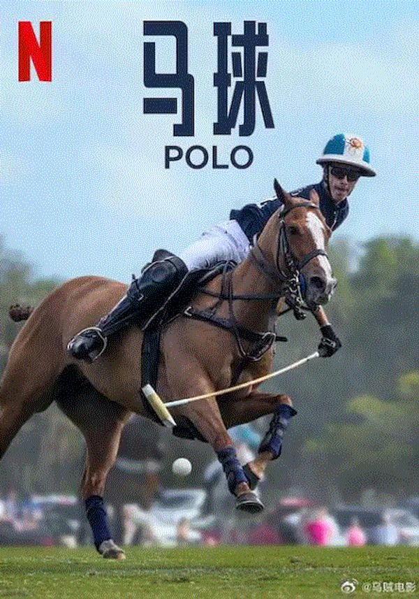 马球封面图