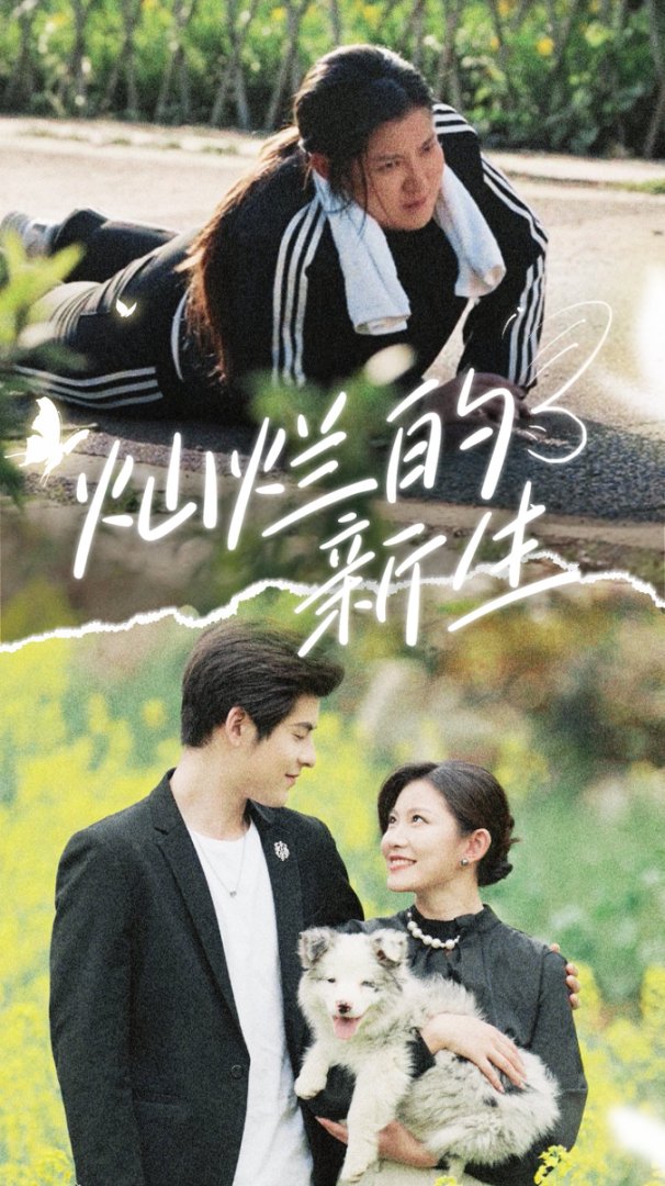 破茧重生封面图