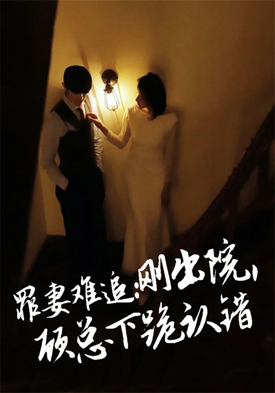 罪妻难追：刚出院，顾总下跪认错封面图