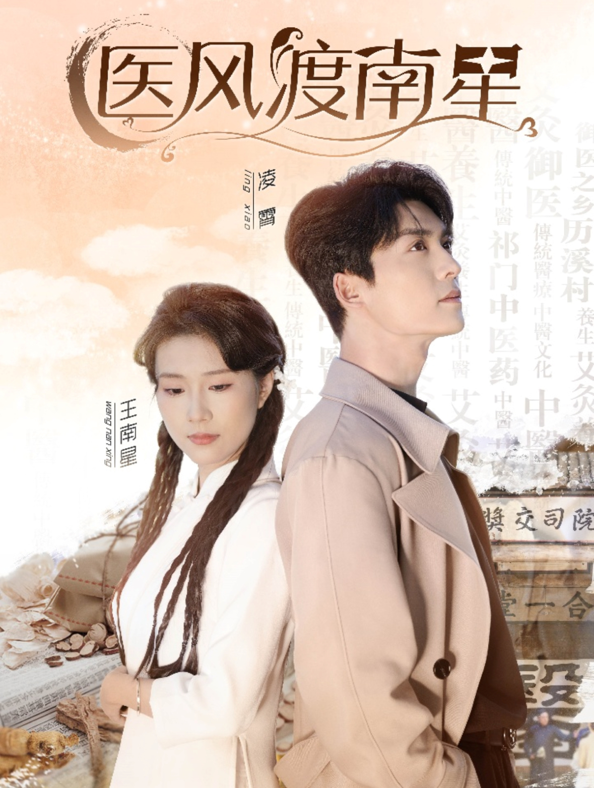 医风渡南星封面图