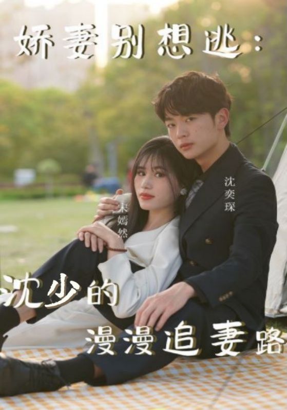 娇妻别想逃沈少的漫漫追妻路封面图