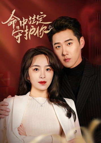 命中注定守护你封面图