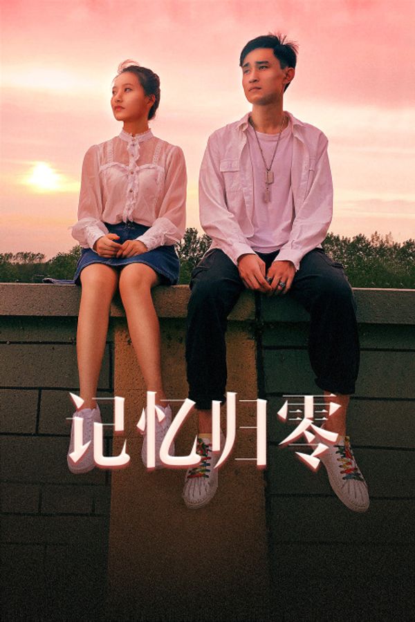 记忆归零封面图