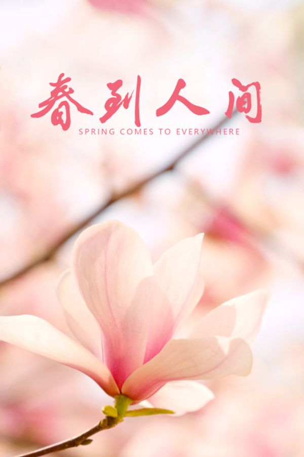 春到人间封面图