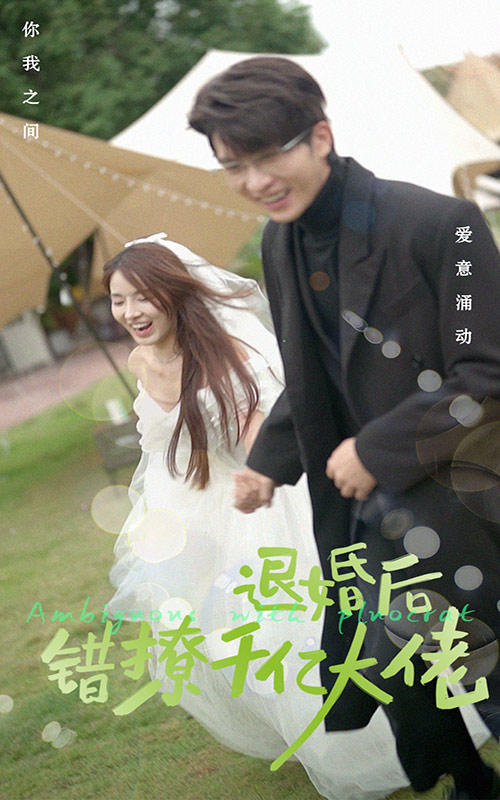 退婚后，错撩千亿大佬封面图