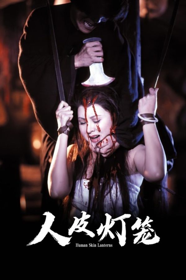 人皮灯笼封面图