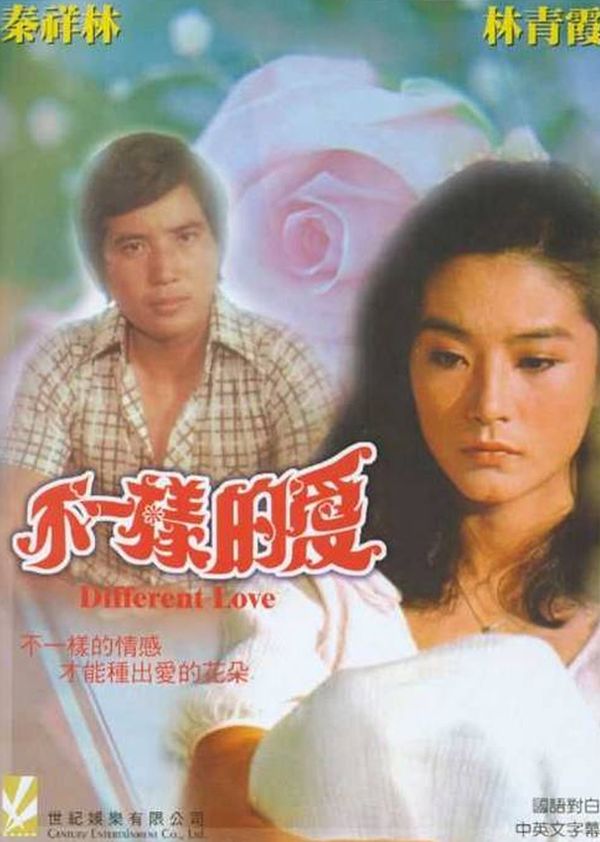 不一样的爱封面图