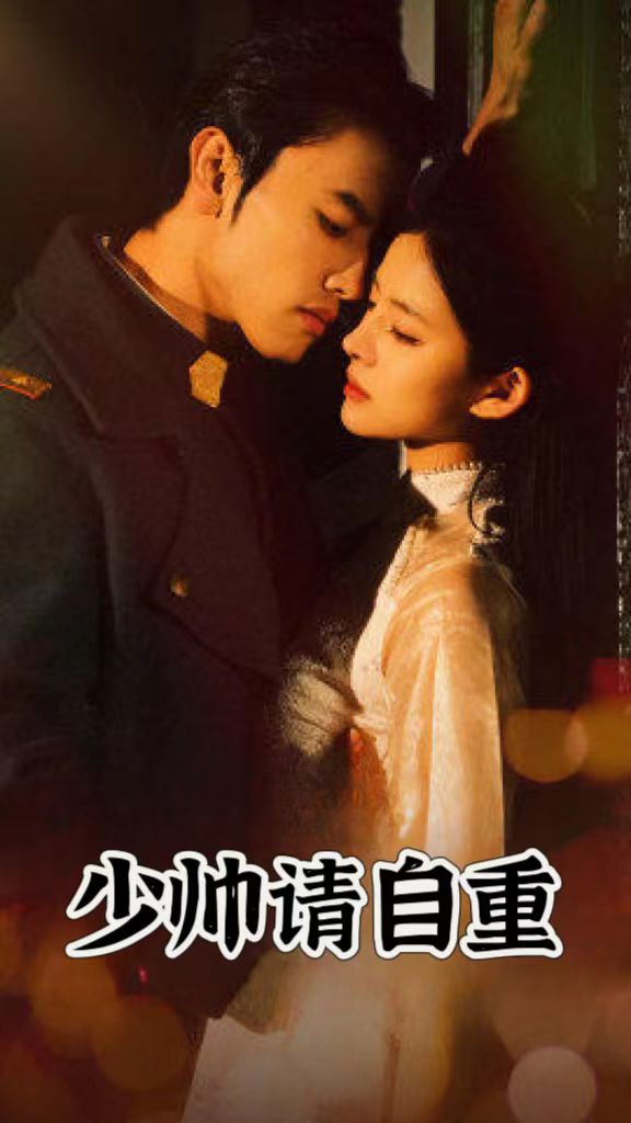 少帅，请自重封面图