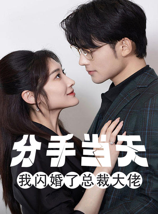 分手当天，我闪婚了总裁大佬封面图