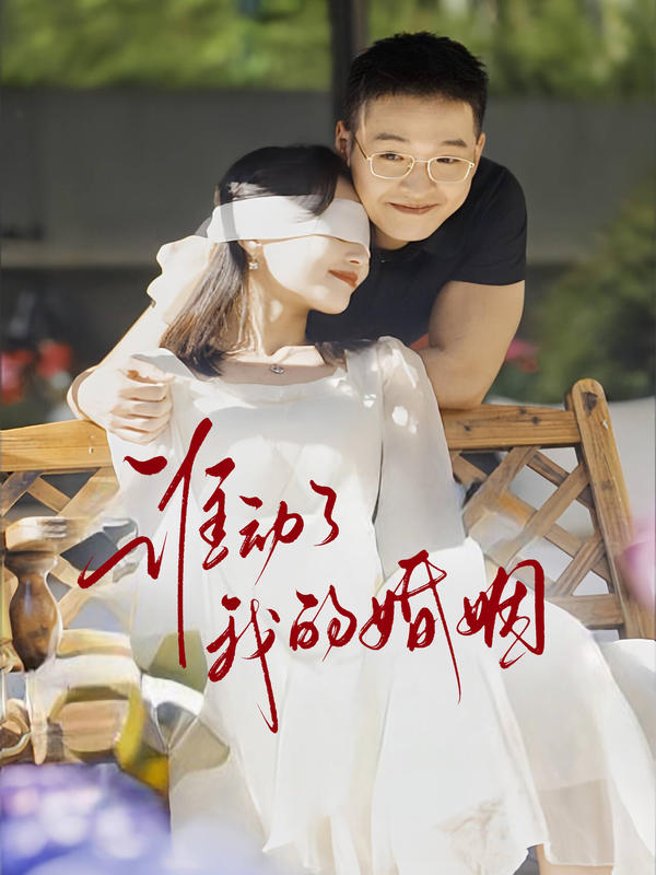 谁动了我的婚姻封面图