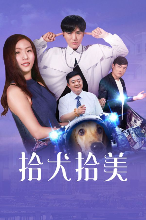 拾犬拾美封面图