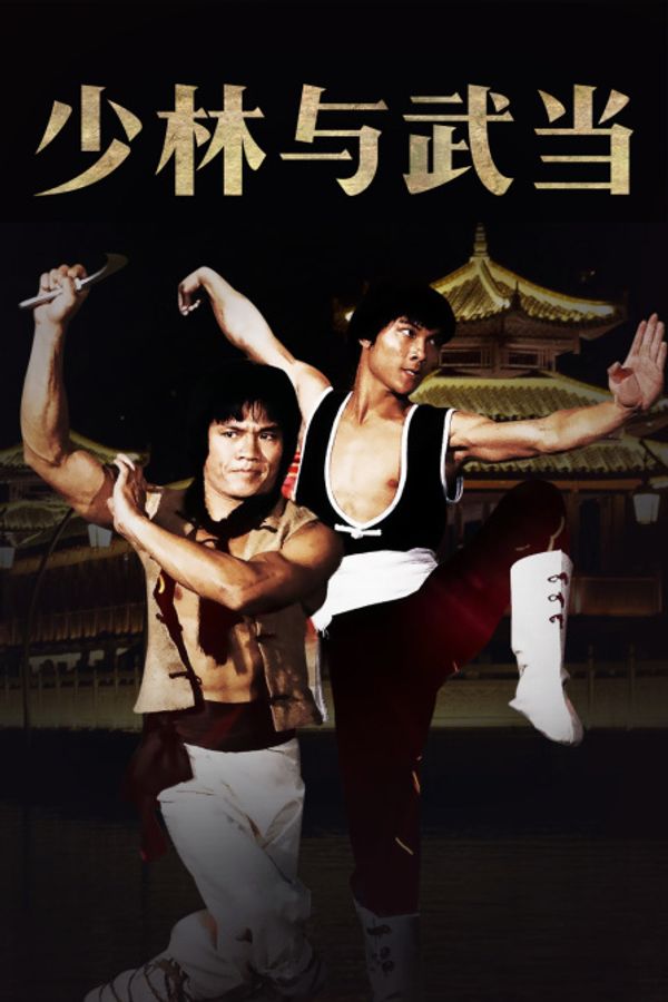 少林与武当封面图
