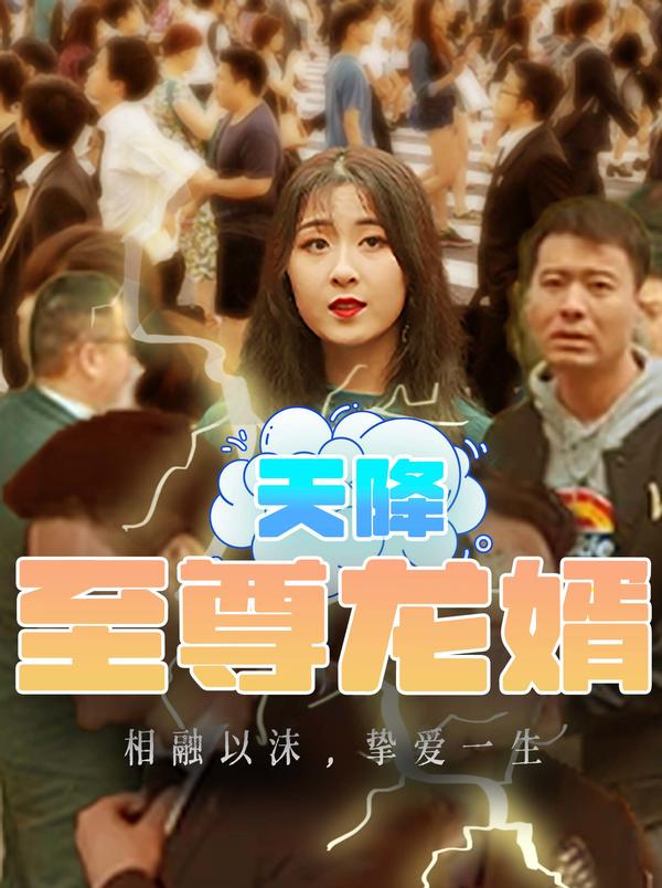 天降至尊龙婿封面图