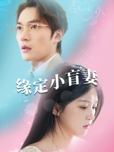 缘定小盲妻封面图
