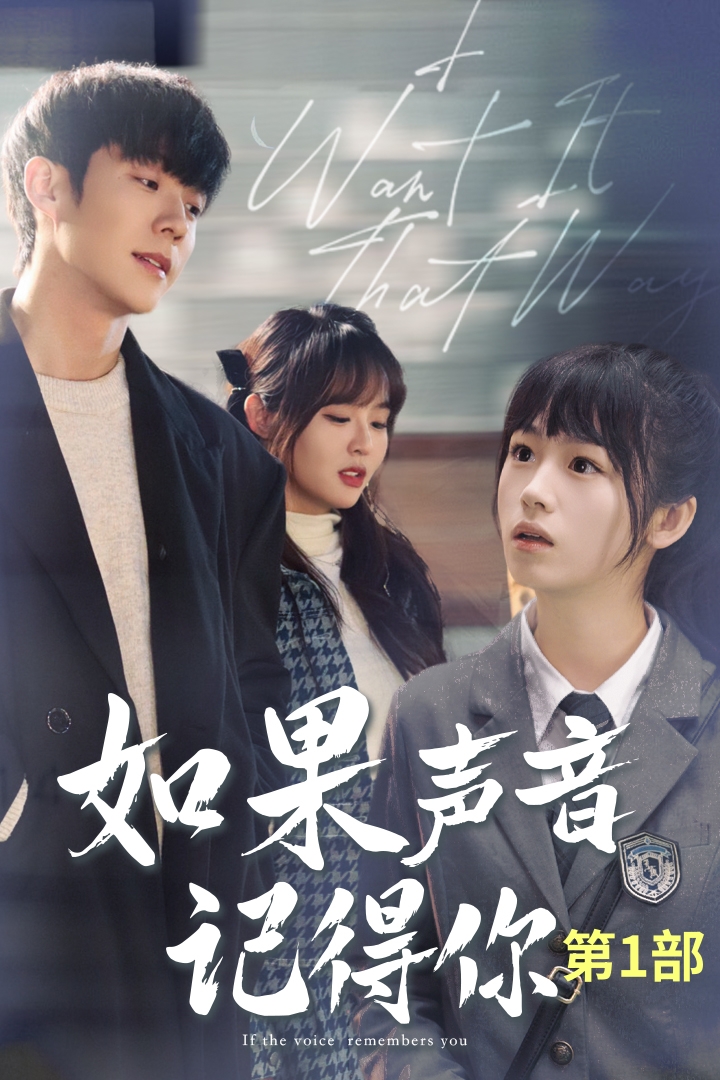如果声音记得你封面图