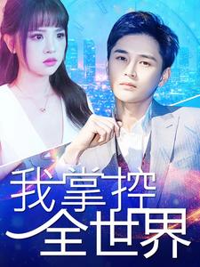 我掌控全世界封面图