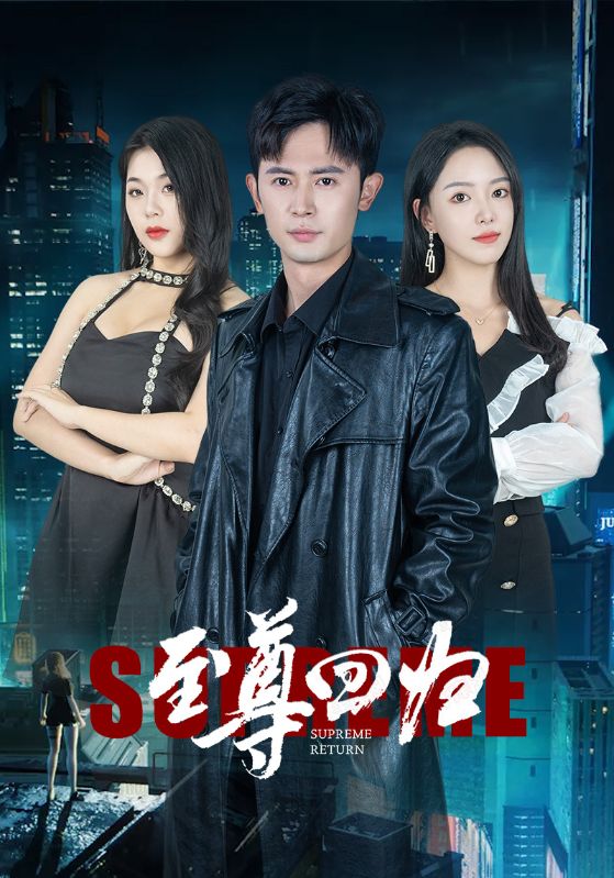 至尊回归封面图