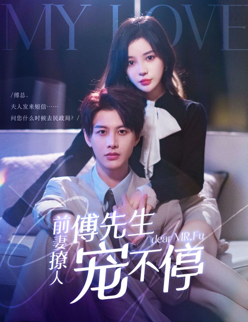 前妻撩人傅先生宠不停封面图