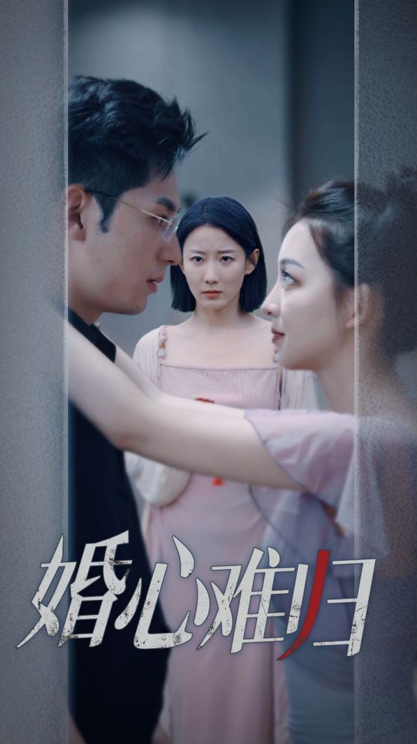 婚心难归封面图