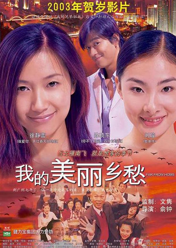 我的美丽乡愁封面图