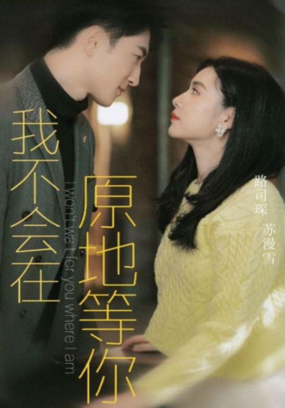 我不会在原地等你封面图