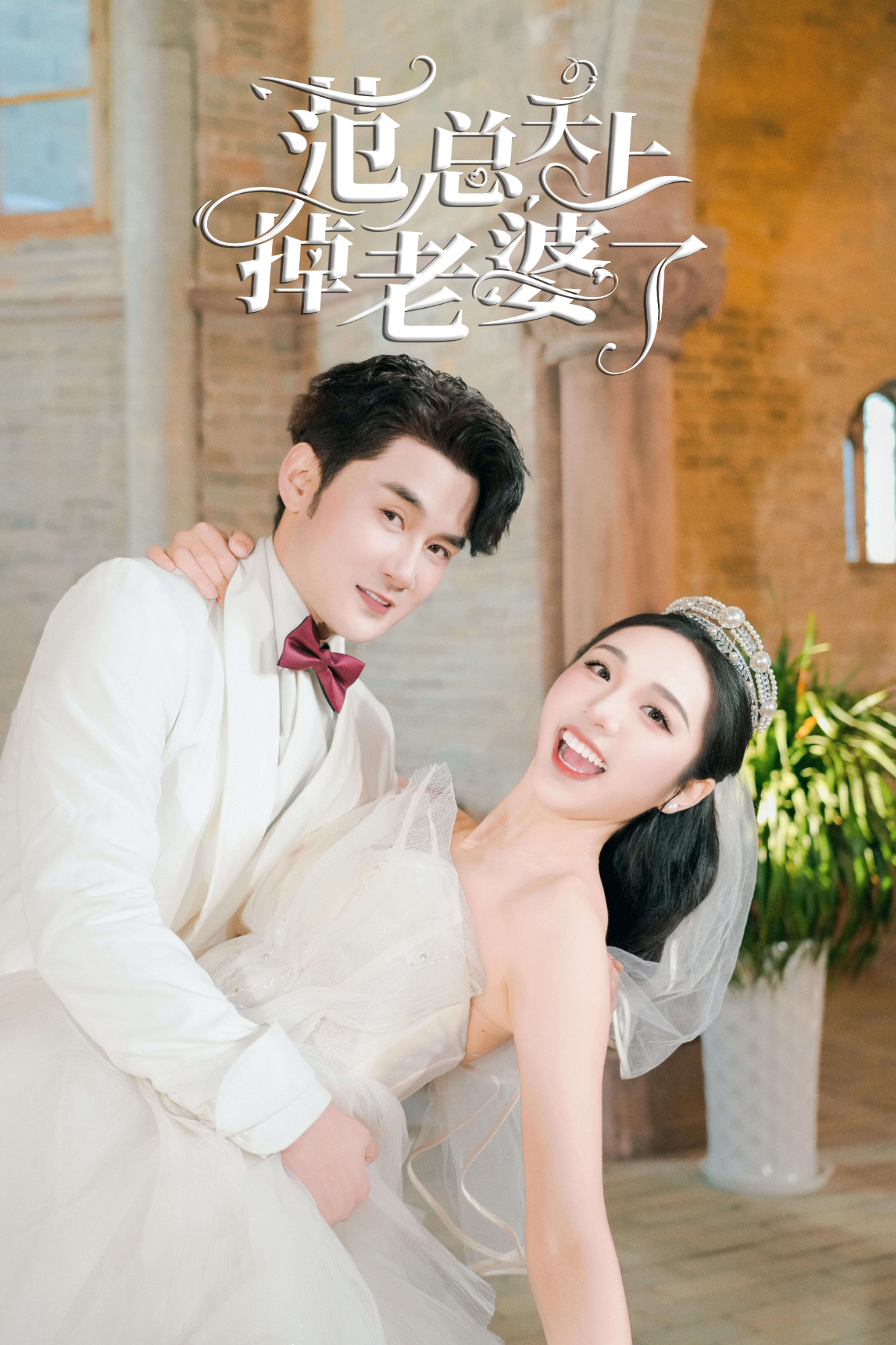 范总天上掉老婆了封面图