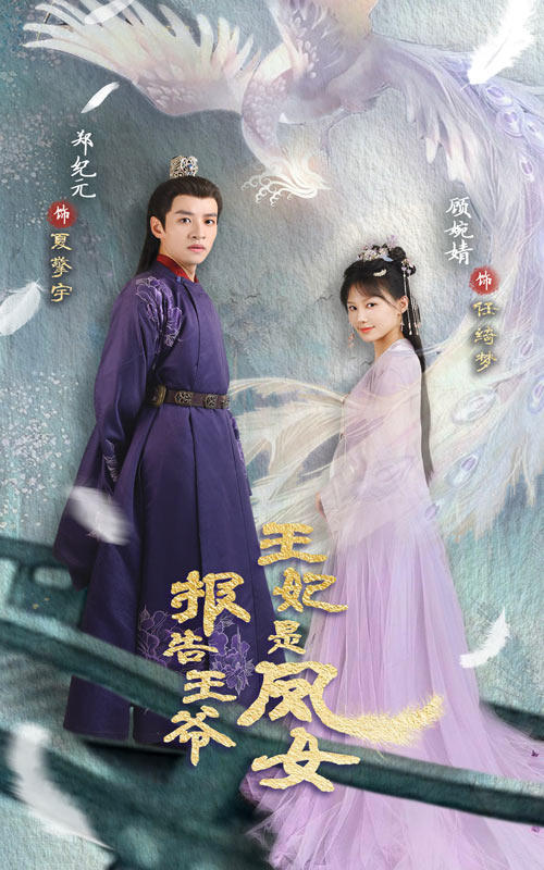 报告王爷，王妃是凤女封面图