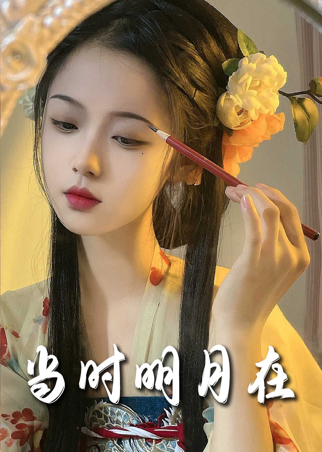 当时明月在封面图