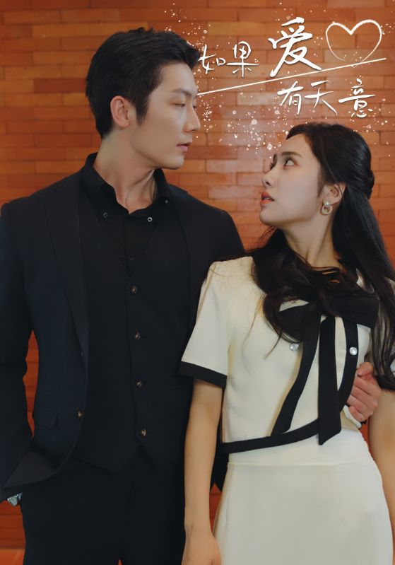 如果爱有天意封面图