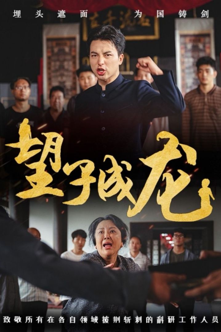 望子成龙-新封面图