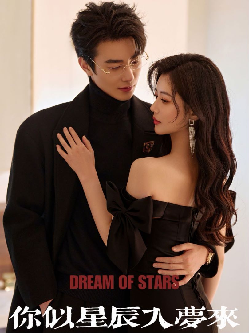 你似星辰入梦来封面图