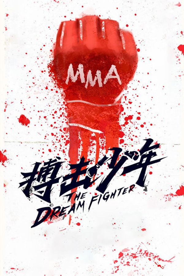 搏击少年封面图