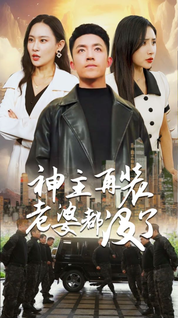 神主再装老婆都没了封面图