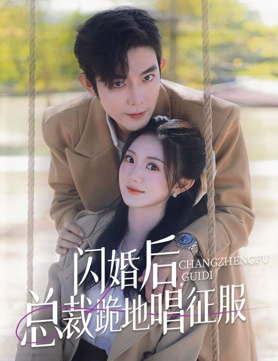 闪婚后，总裁跪地唱征服封面图