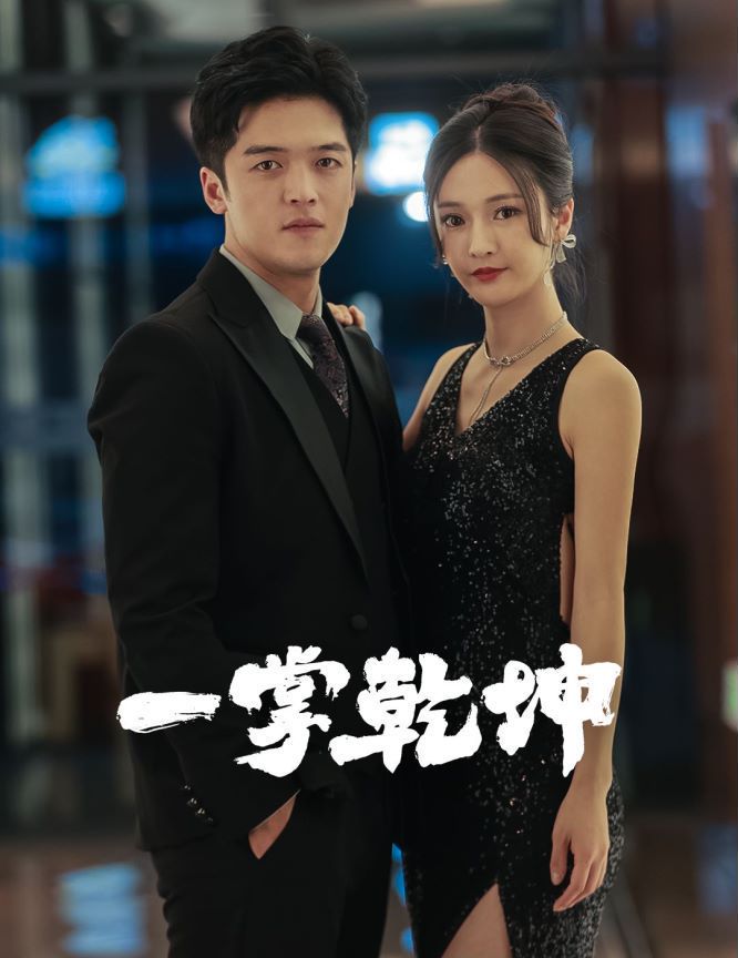 一掌乾坤封面图