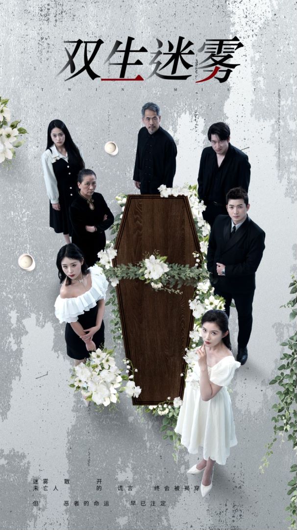 双生迷雾封面图