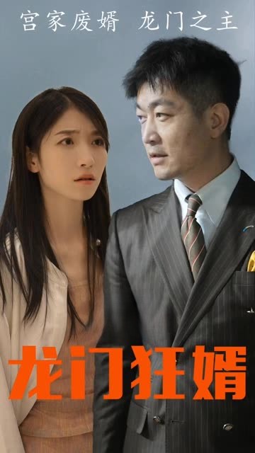 龙门狂婿封面图
