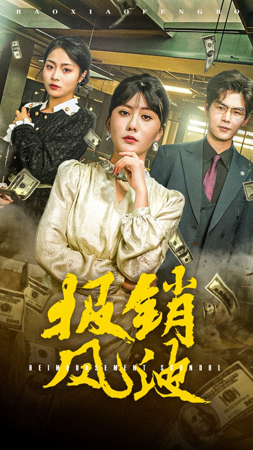 报销风波封面图