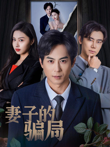 妻子的骗局封面图