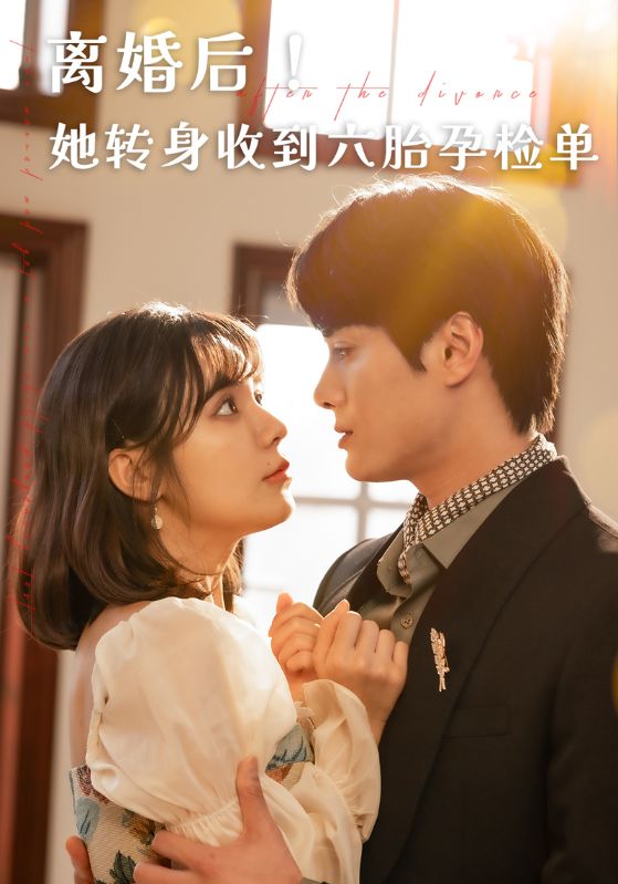 离婚后她转身收到六胎孕检单封面图