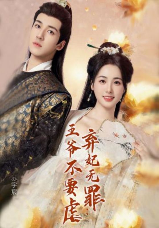 弃妃无罪：王爷不要虐封面图