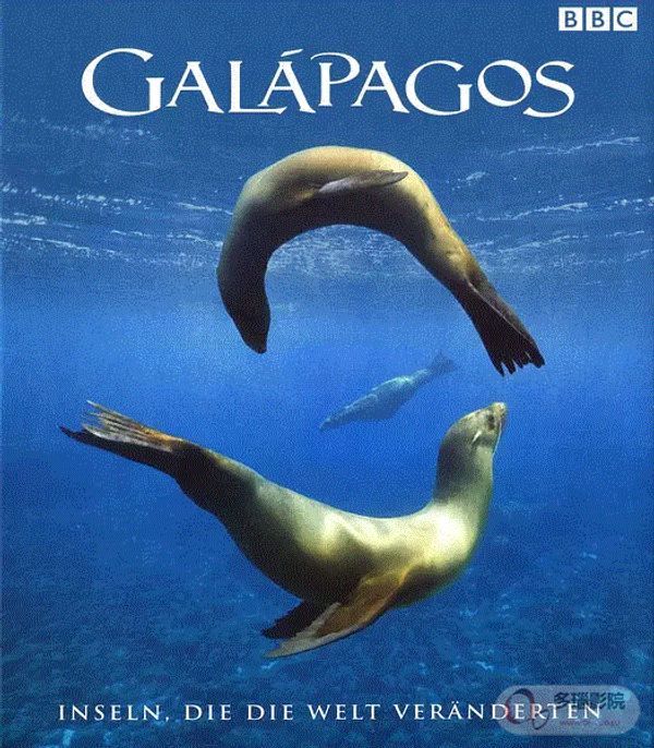 加拉帕戈斯群岛封面图