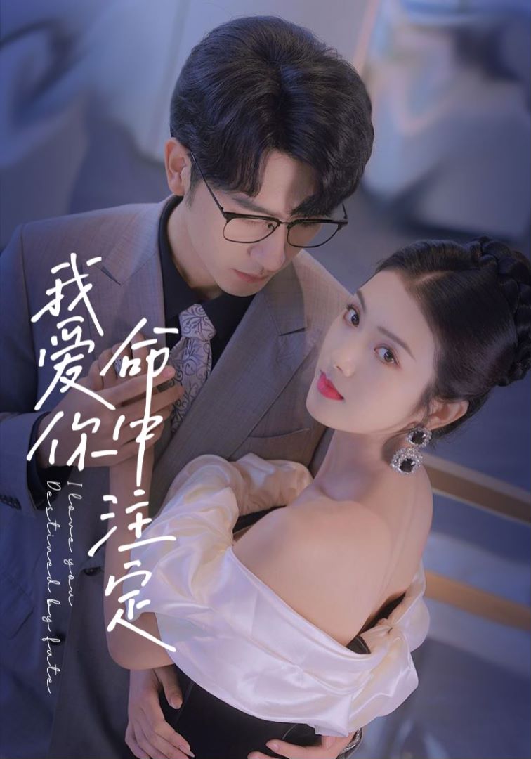 我爱你命中注定封面图