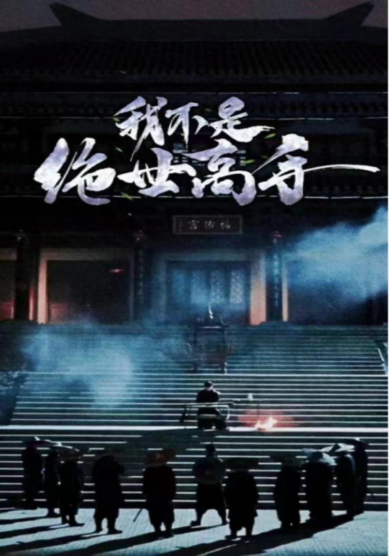 我不是绝世高手封面图