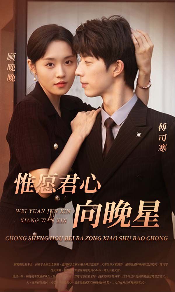 惟愿君心向晚星封面图