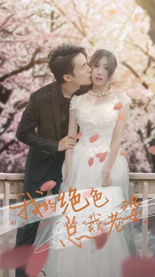 我的绝色总裁老婆封面图