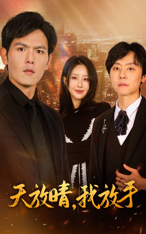 天放晴我放手封面图