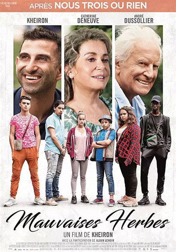 甜蜜香草封面图